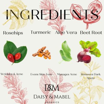 rosehip botanical with turmeric face jelly wash 1 oz glass bottle aloe vera beet root turmeric infographic daisy and mabel organics