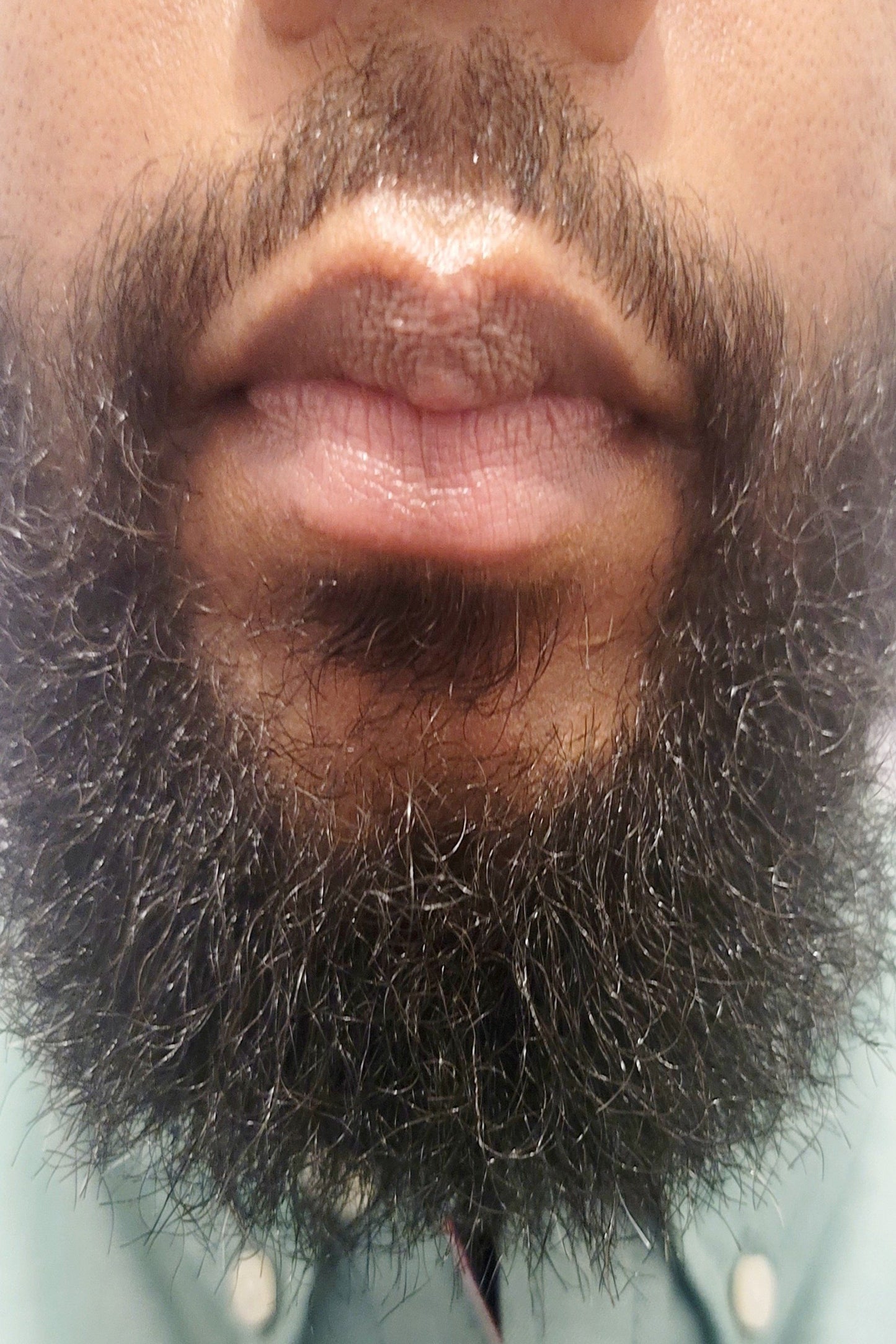 black man curly medium shiny beard  daisy and mabel organics