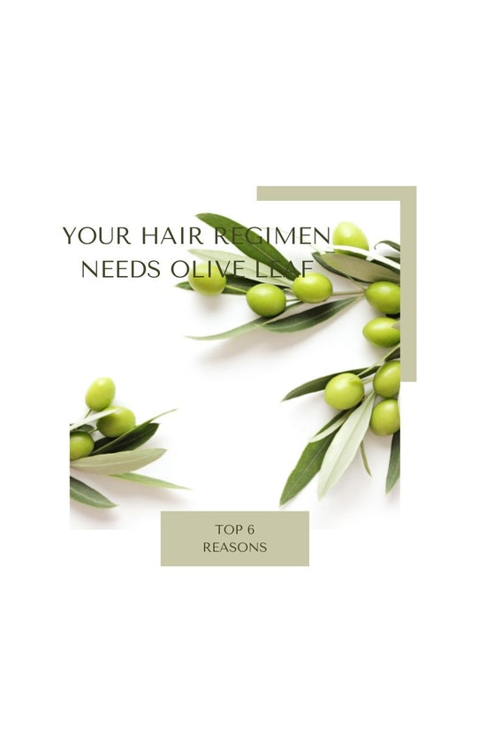 Top 6 Reasons Your Hair Regimen Needs Olive Leaf