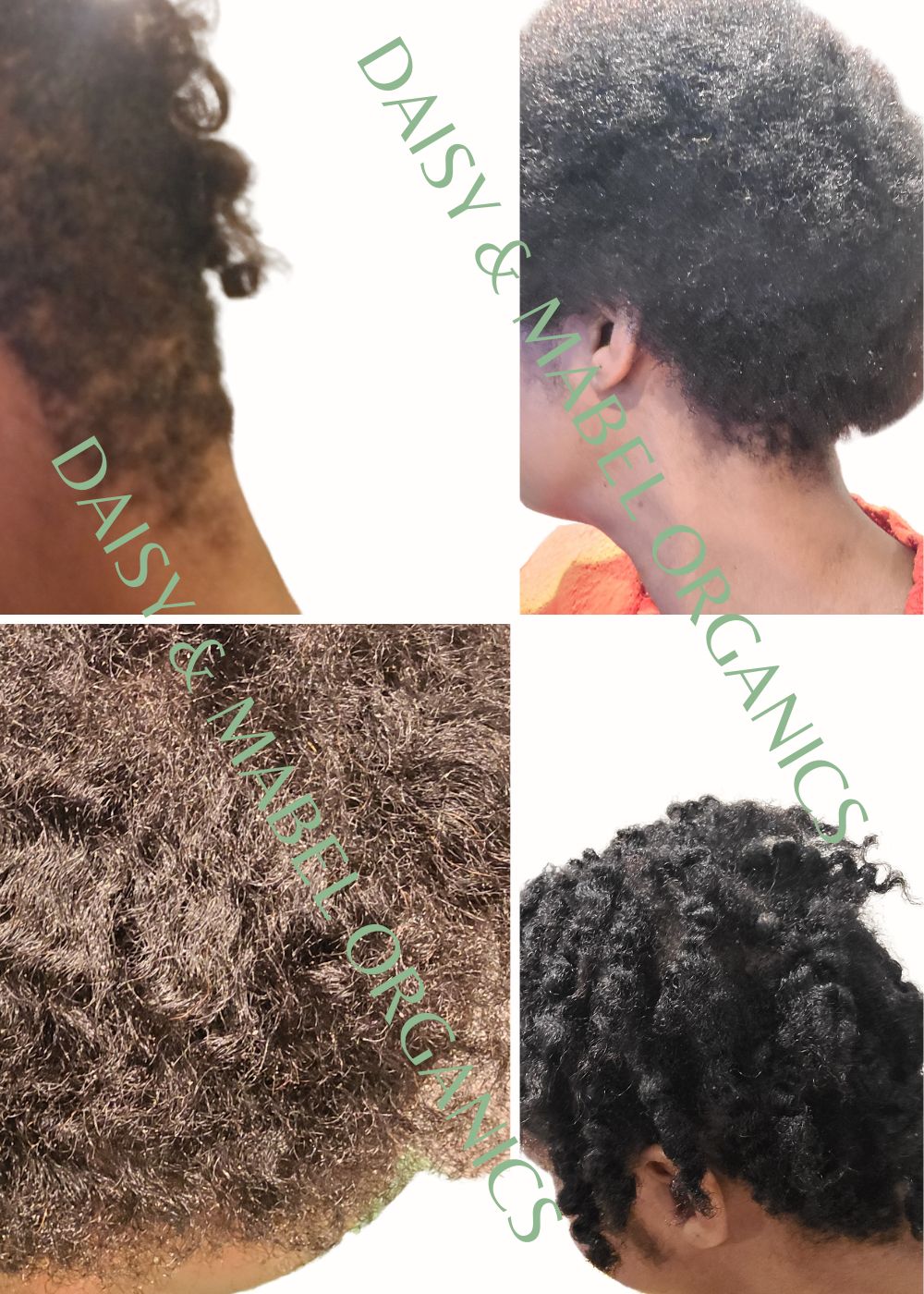 hair growth before after infused olive leaf hair oil daisy and mabel organics